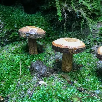 Wooden Mushroom Indoor Decoration