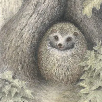 Hedgehog Hollow