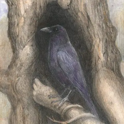 Crow Hollow