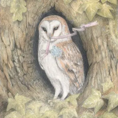 Barn Owl Hollow