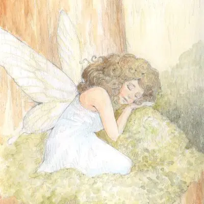 Sleeping Fairy