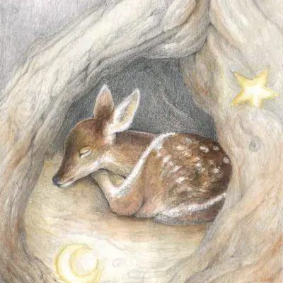 Sleeping Deer