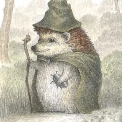 Hedgehog Wizard