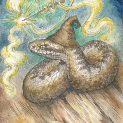 Adder Wizard