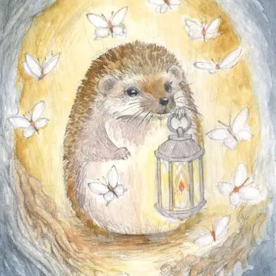 Lantern Hedgehog