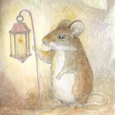 Lantern Mouse