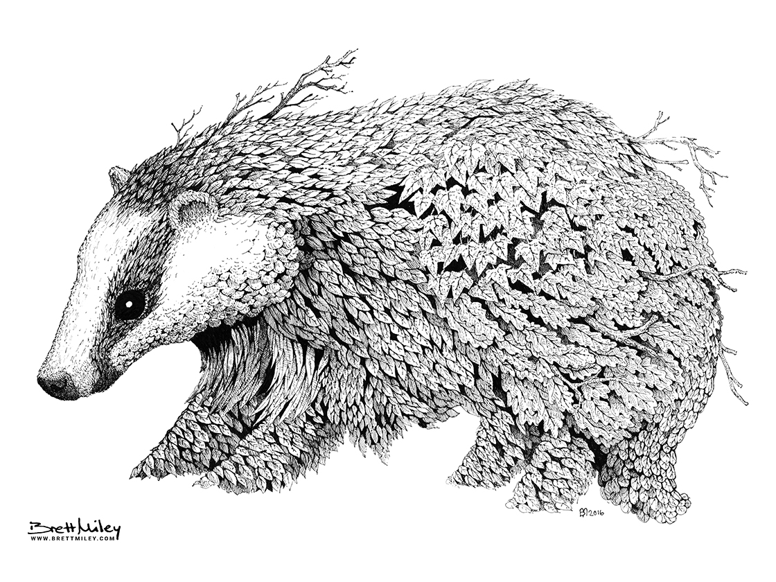 Leaf Badger Print - Brett Miley Art