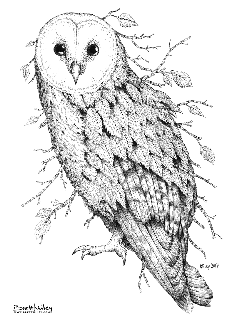Leaf Barn Owl Print - Brett Miley Art