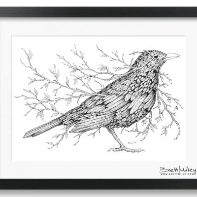 Leaf Blackbird Framed Original - By Brett Miley Art