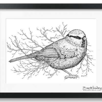 Leaf Blue Tit Framed Original - by Brett Miley Art