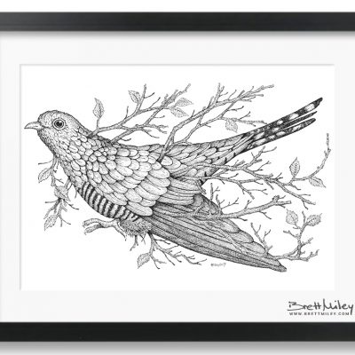 Leaf Cuckoo Framed Original - by Brett Miley Art
