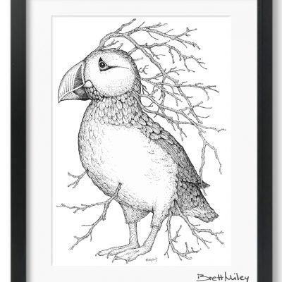 Leaf Puffin Framed Original - by Brett Miley Art