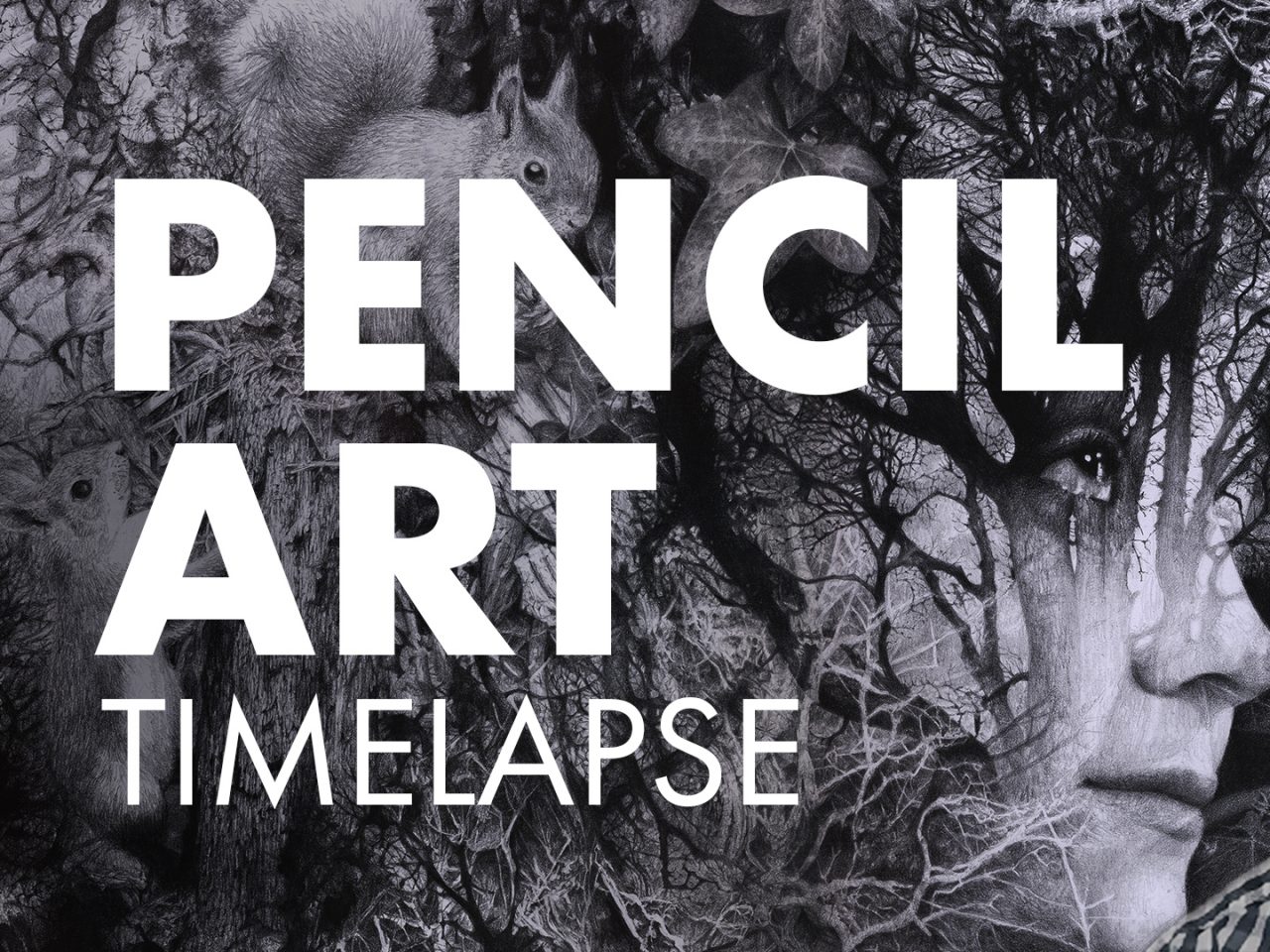 Pencil Art Timelapse Looking Through Brett MIley Art