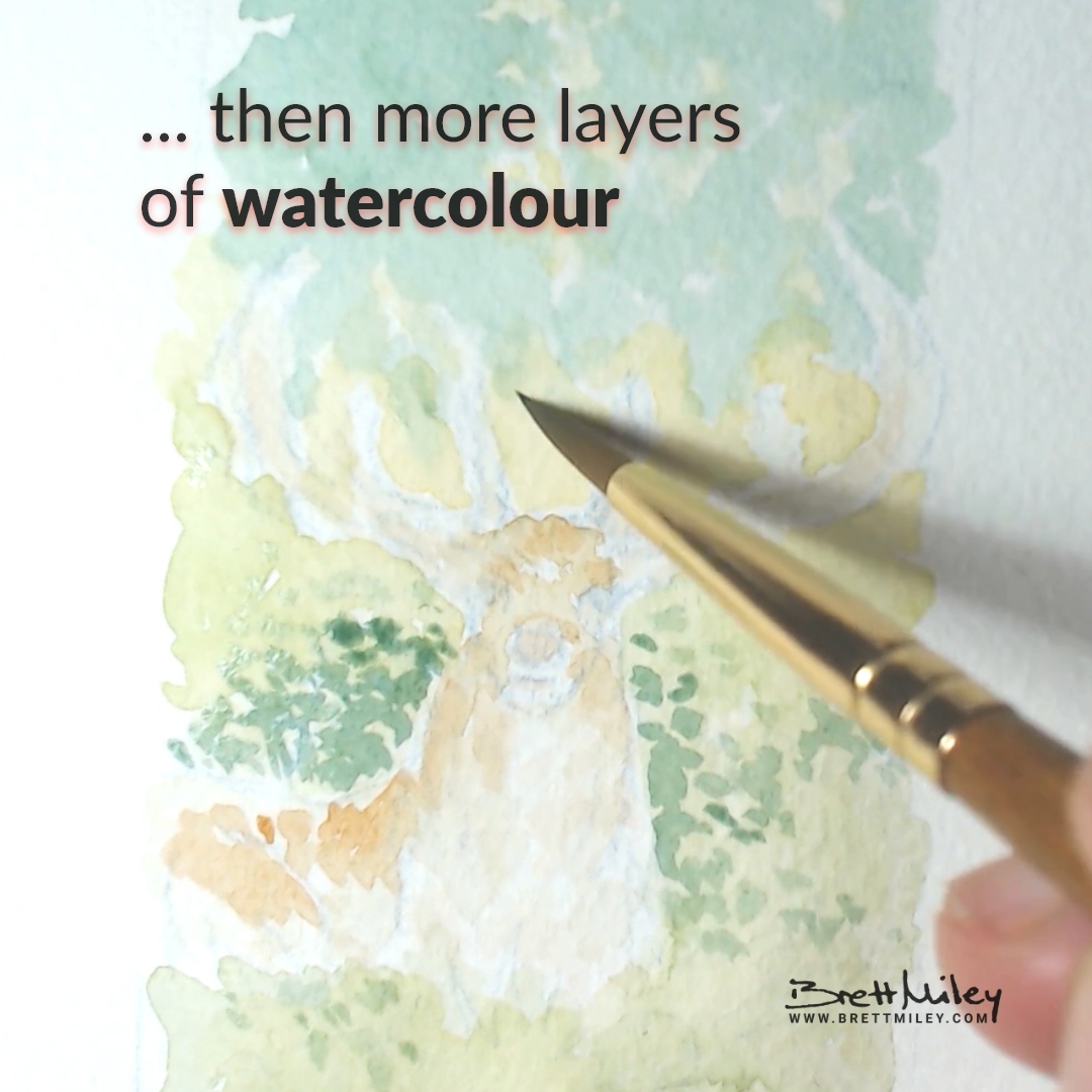 Stag Daily Watercolour Art by Brett Miley