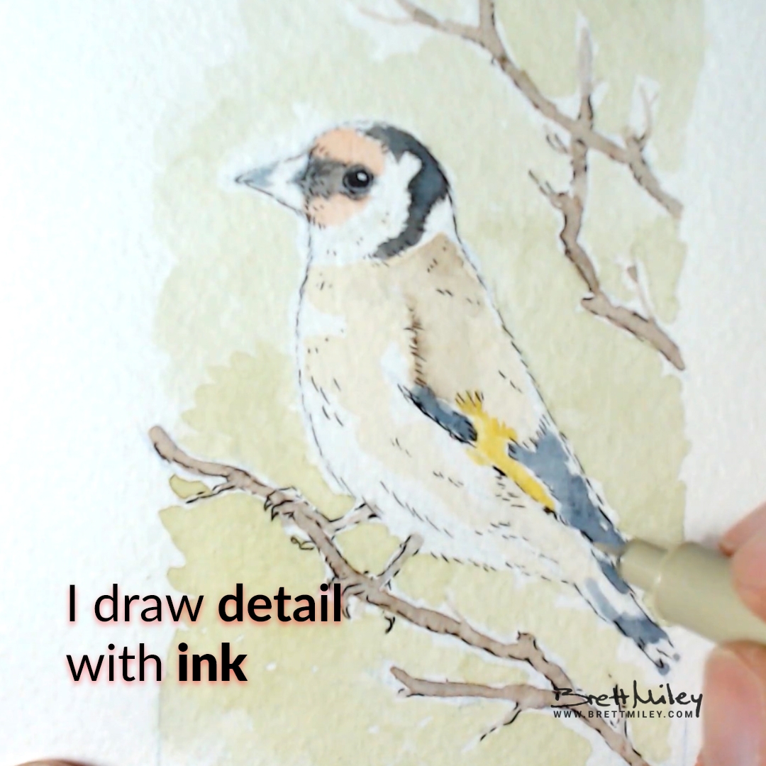 Goldfinch Watercolour Art by Brett Miley