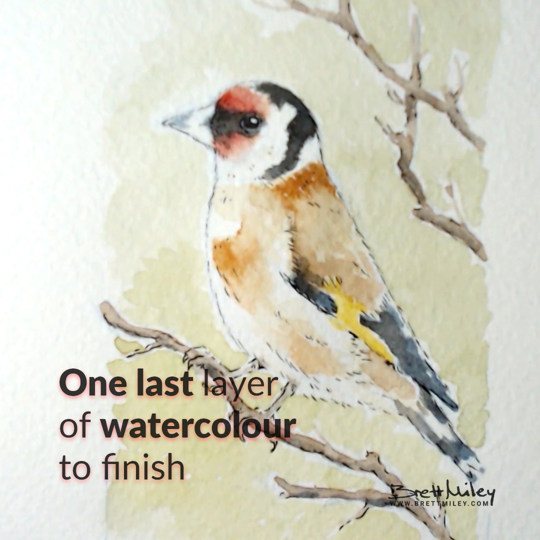 Goldfinch Watercolour Art by Brett Miley