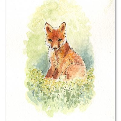Fox Cub Watercolour Art by Brett Miley