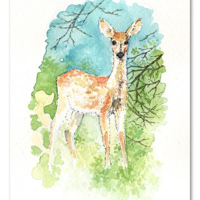 Deer Watercolour Art by Brett Miley