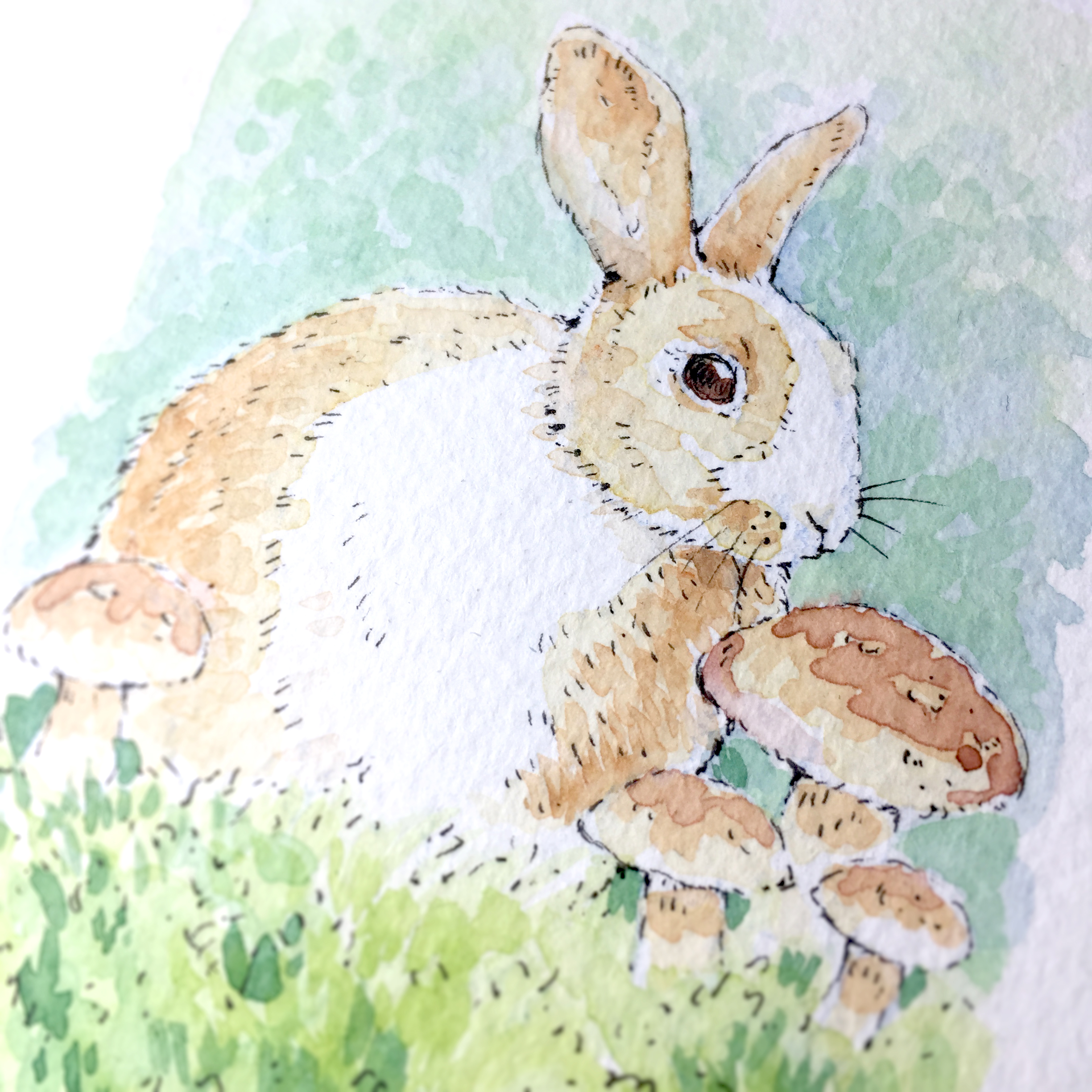 Rabbit Watercolour Art by Brett Miley