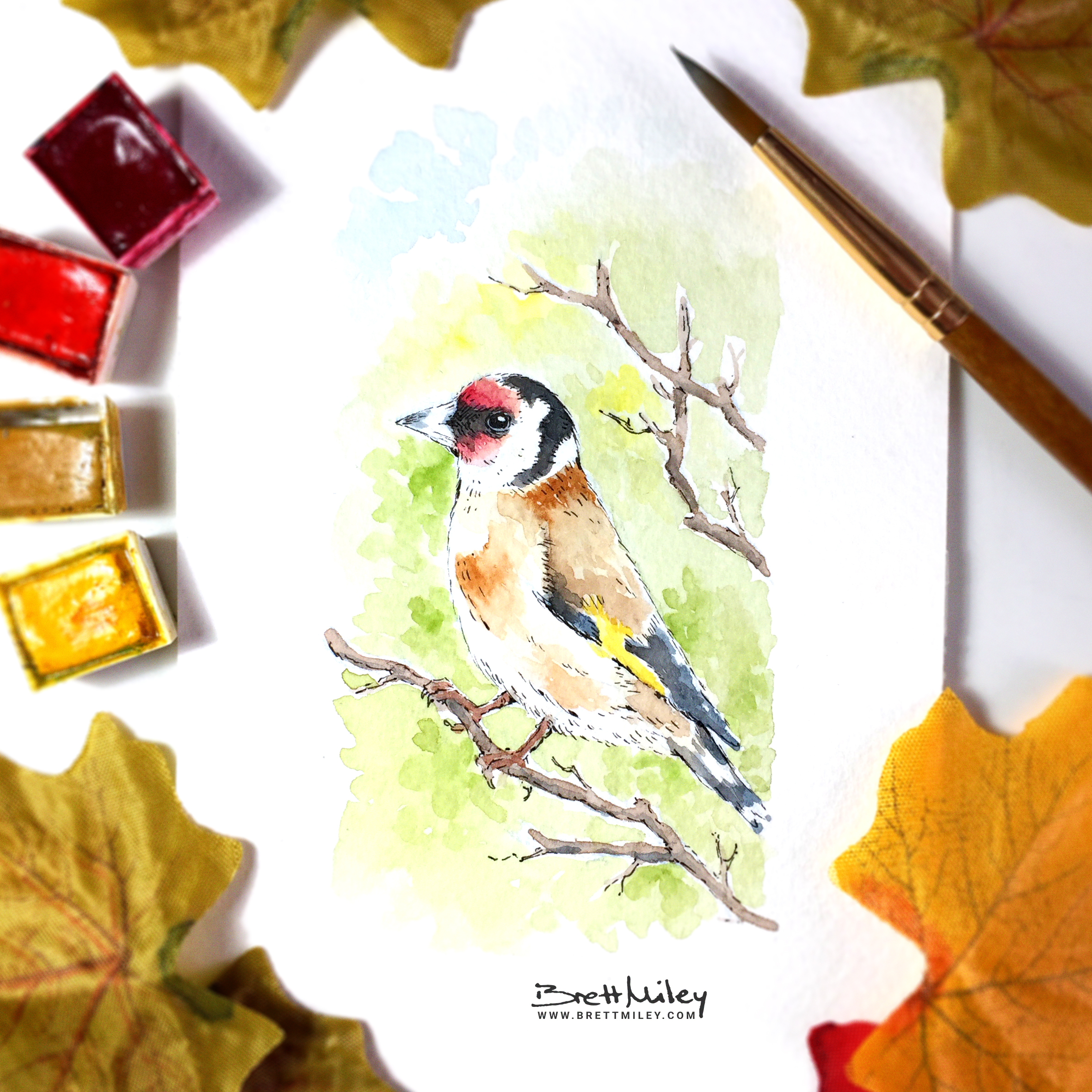 Goldfinch Watercolour Art by Brett Miley