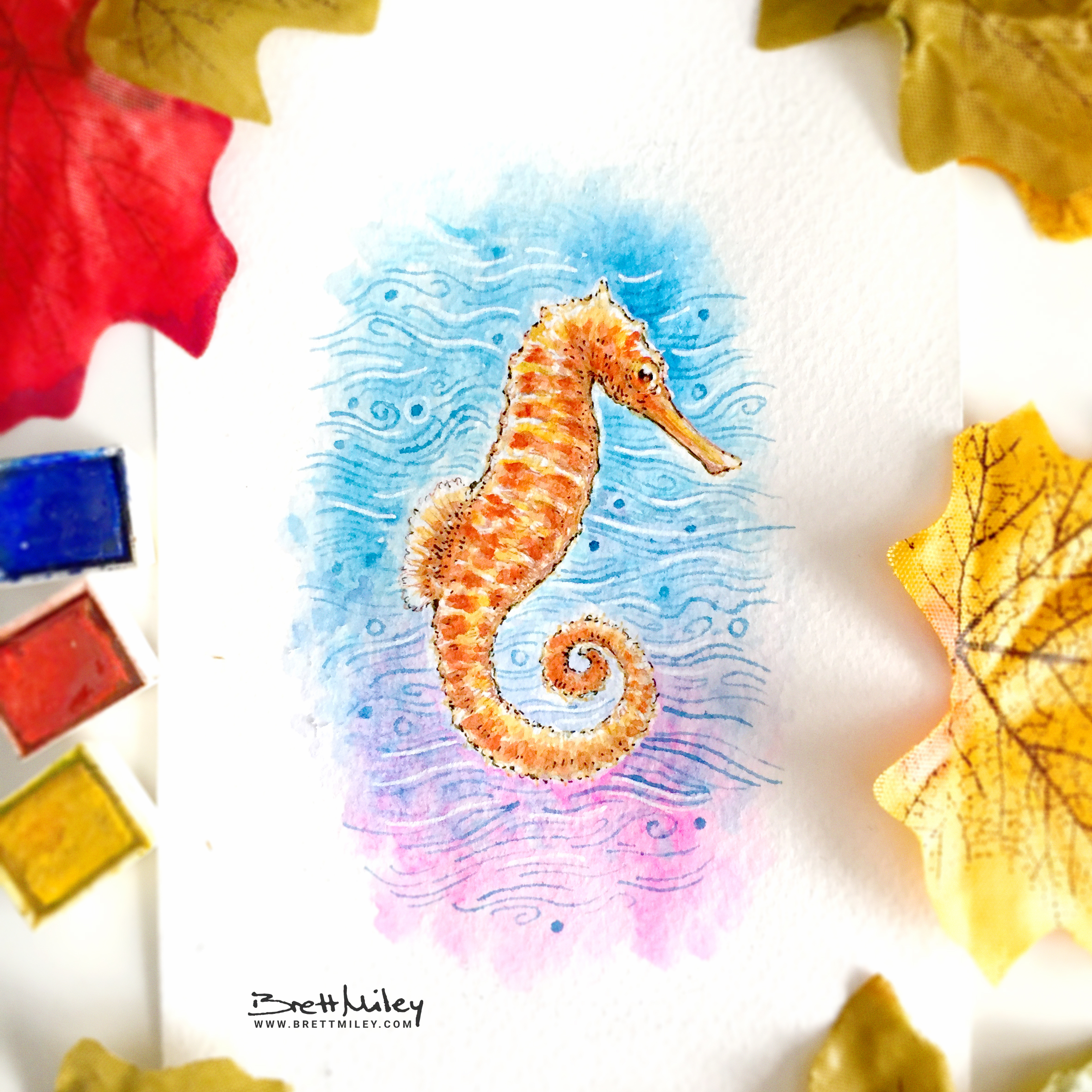 Seahorse Watercolour Art by Brett Miley