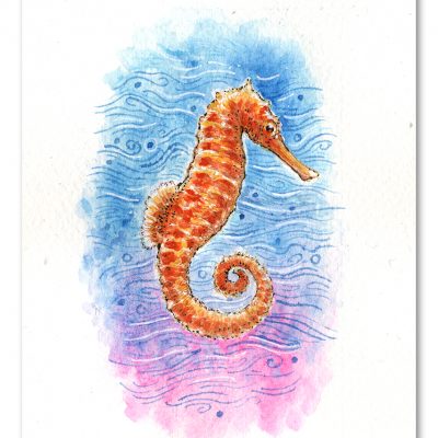 Seahorse Watercolour Art by Brett Miley