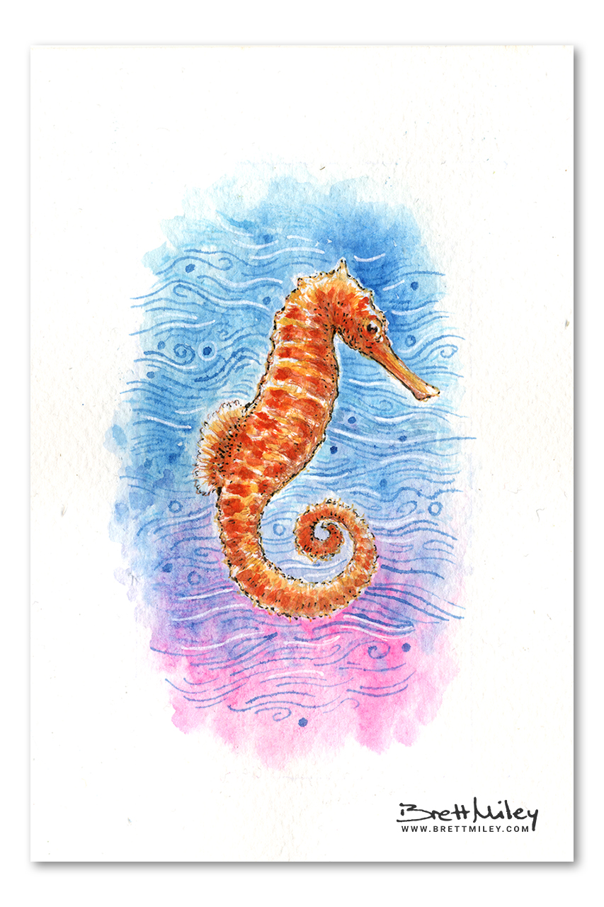 Seahorse Watercolour Art by Brett Miley