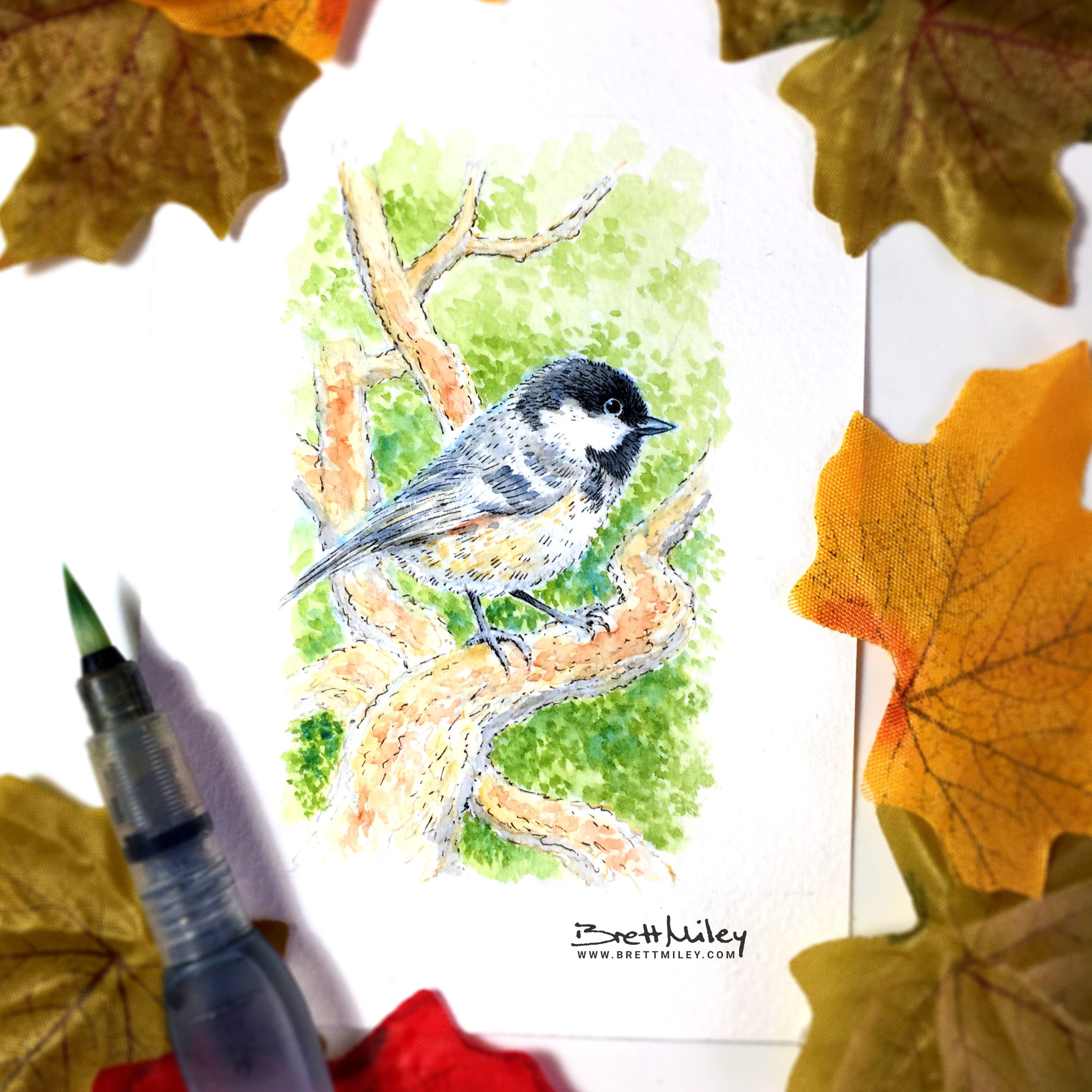 Coal Tit Watercolour Art by Brett Miley