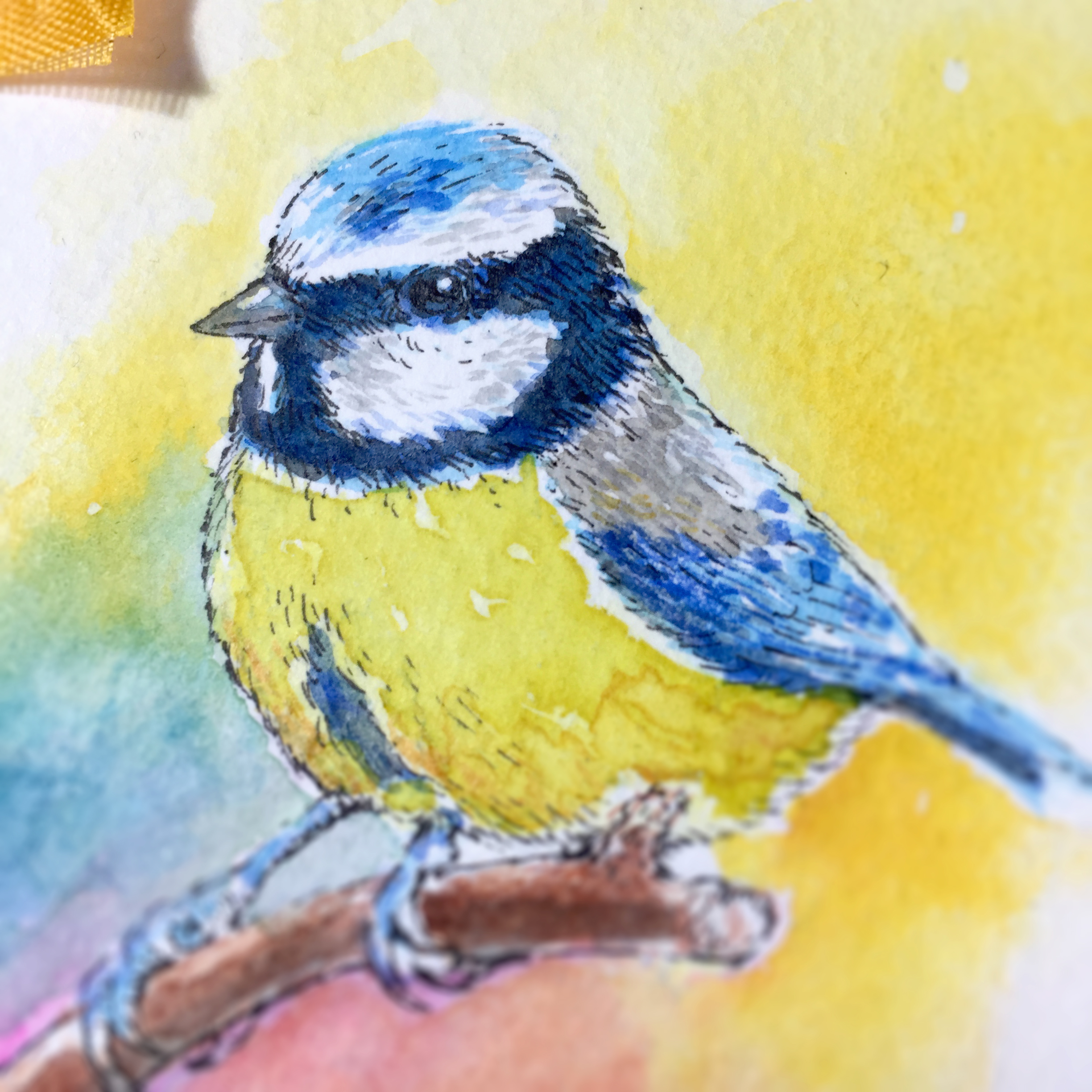 Blue Tit Watercolour Art by Brett Miley