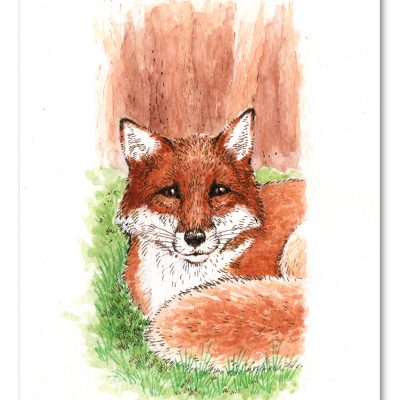 Fox Watercolour Art by Brett Miley