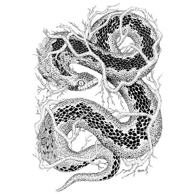 Leaf Adder Print - Brett Miley Art