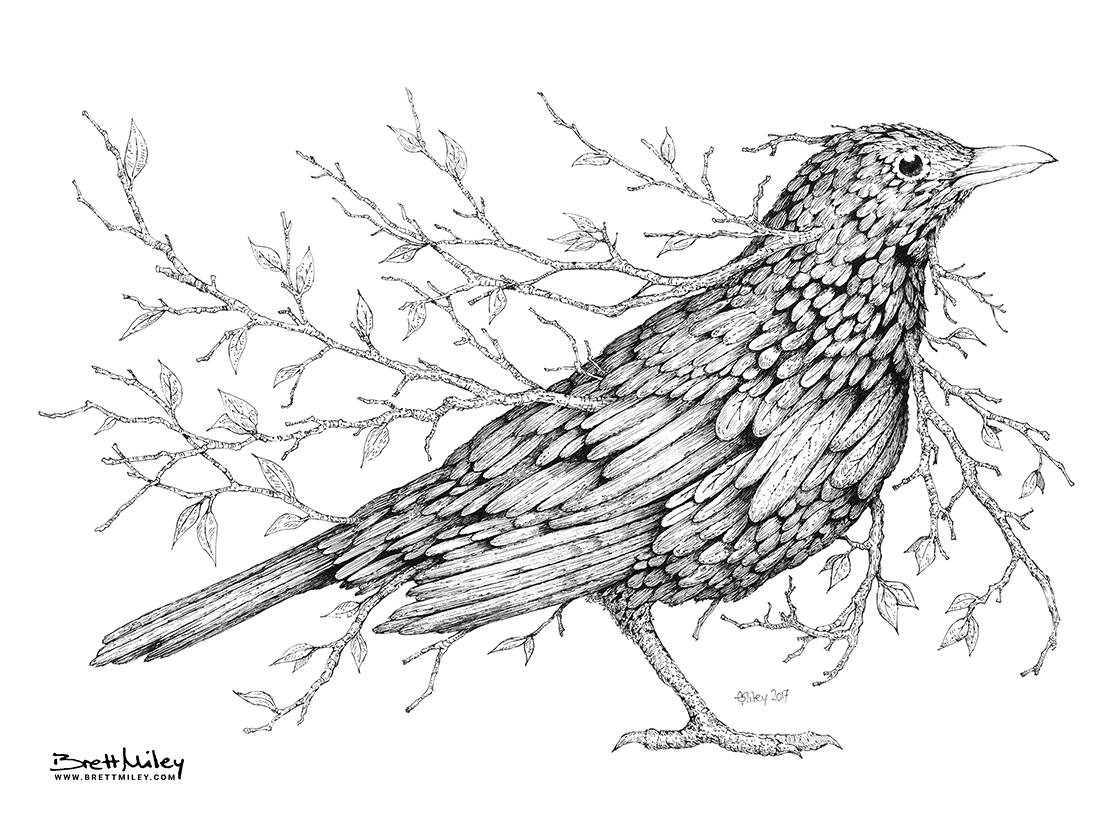 Leaf Blackbird Print - Brett Miley Art