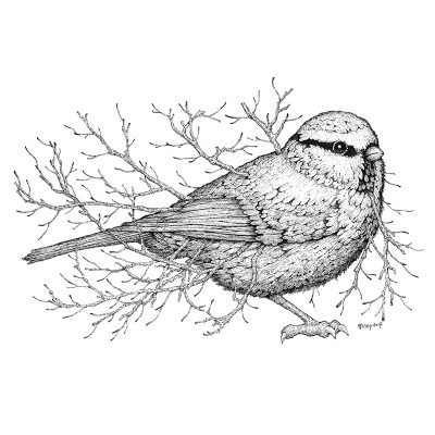 Leaf Blue Tit Print - Brett Miley Art