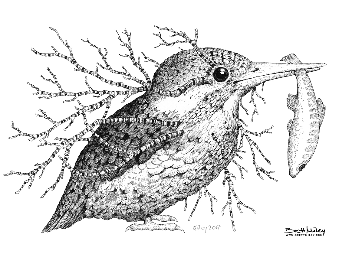 Leaf Kingfisher Print - Brett Miley Art