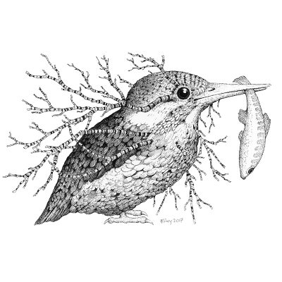 Leaf Kingfisher Print - Brett Miley Art