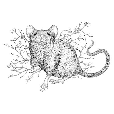 Leaf Mouse Print - Brett Miley Art