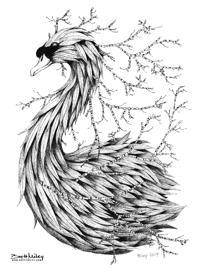 Leaf Mute Swan Print - Brett Miley Art