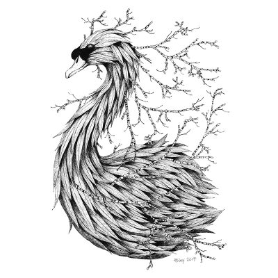 Leaf Mute Swan Print - Brett Miley Art