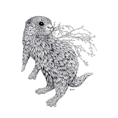 Leaf Otter Print - Brett Miley Art