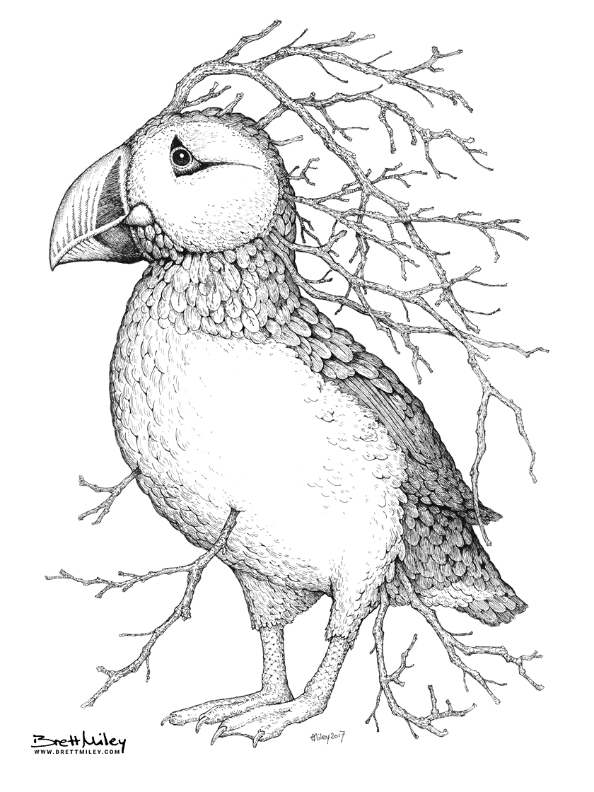 Leaf Puffin Print - Brett Miley Art