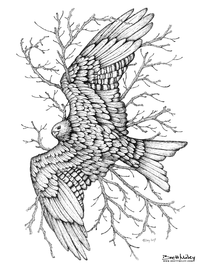 Leaf Red kite Print - Brett Miley Art