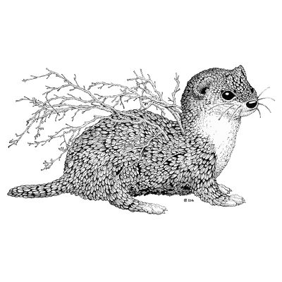 Leaf Weasel Print - Brett Miley Art