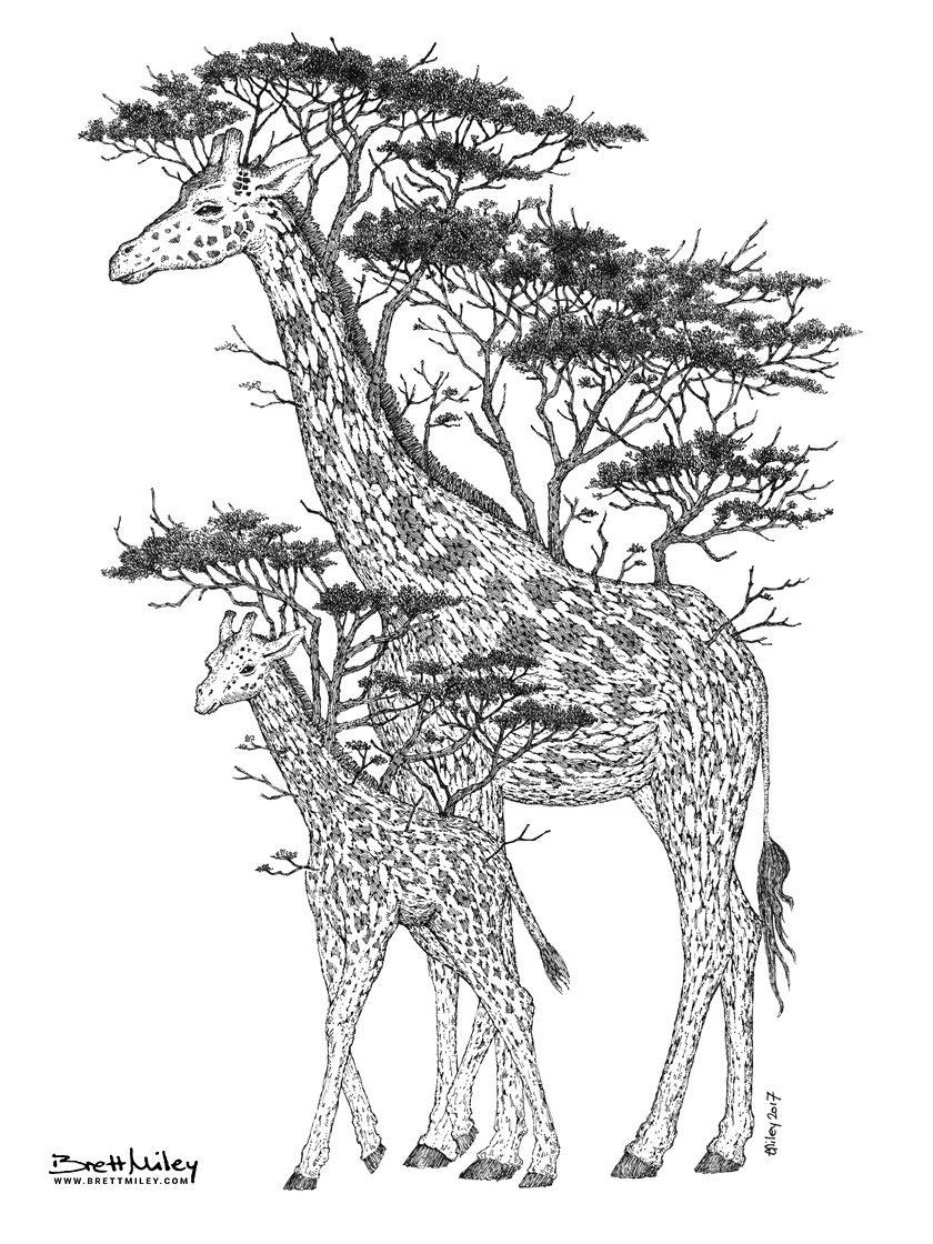 Tree Giraffes Print - Brett Miley Art