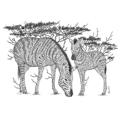 Tree Zebras Print - Brett Miley Art