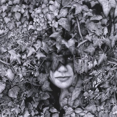 Hedera Helix Pencil Art A3 by Brett Miley Art