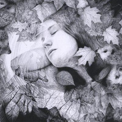 Hibernation Pencil Art by Brett Miley