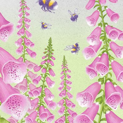 Foxgloves Bees by Brett Miley
