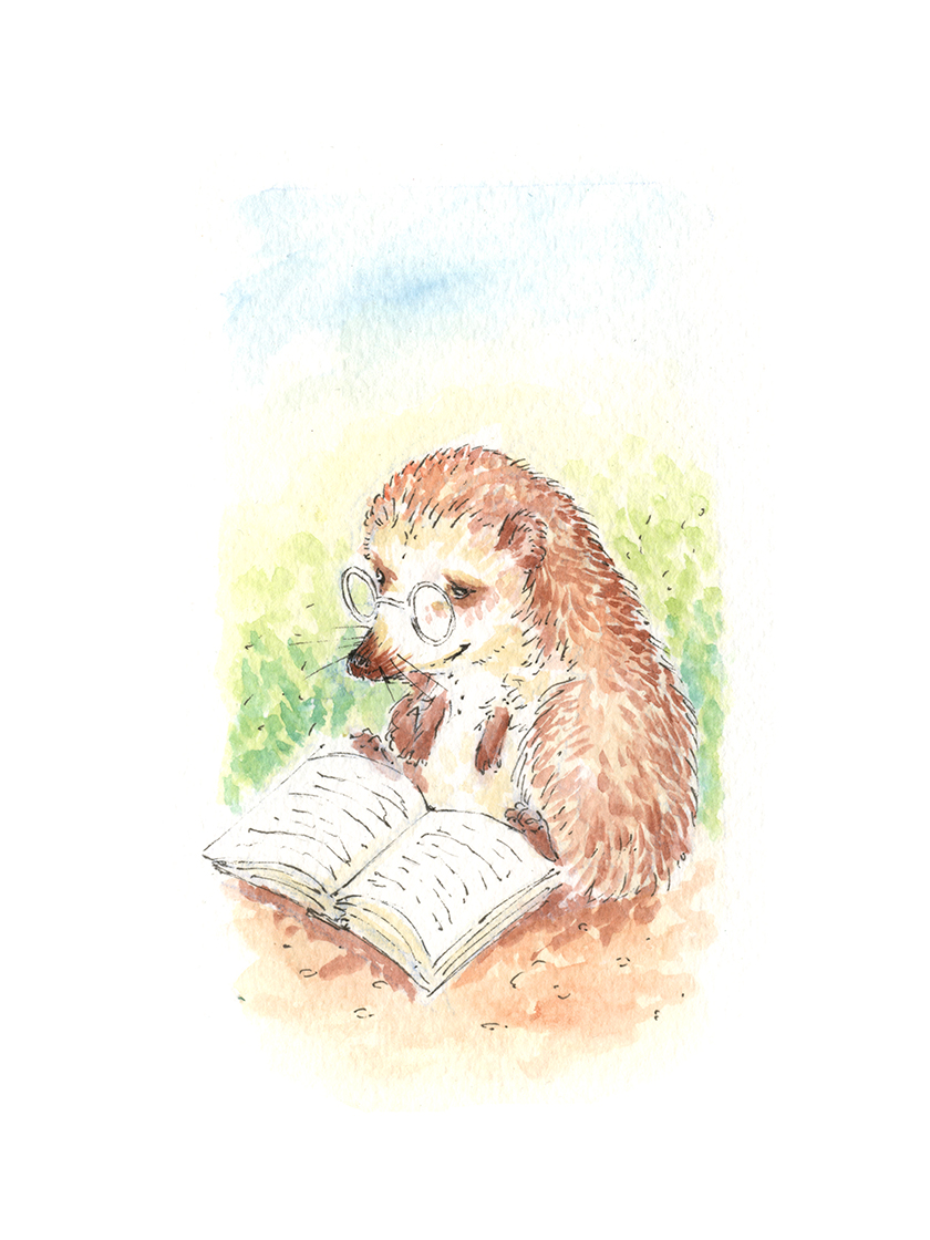 Hedgehog Reading - Image 2