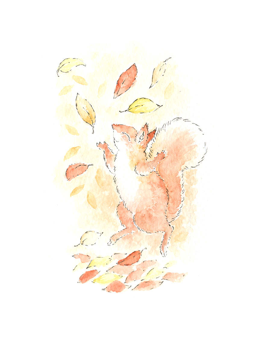 Squirrel Dancing Through Leaves - Image 2
