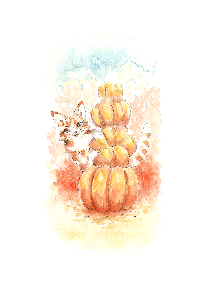 Pumpkin Cat - Image 2